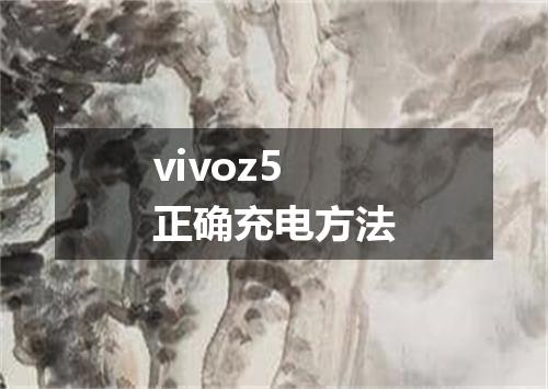 vivoz5正确充电方法
