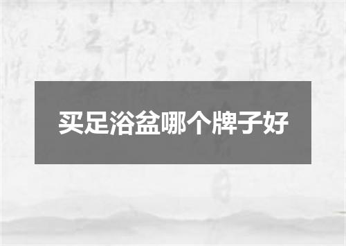 买足浴盆哪个牌子好