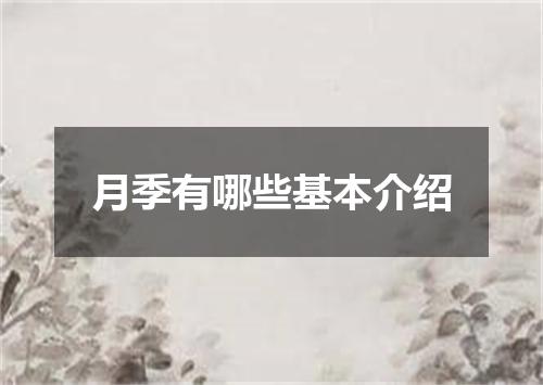 月季有哪些基本介绍