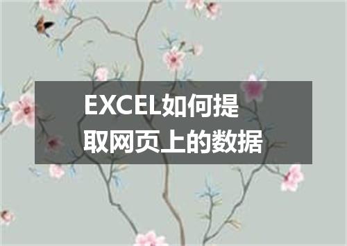 EXCEL如何提取网页上的数据