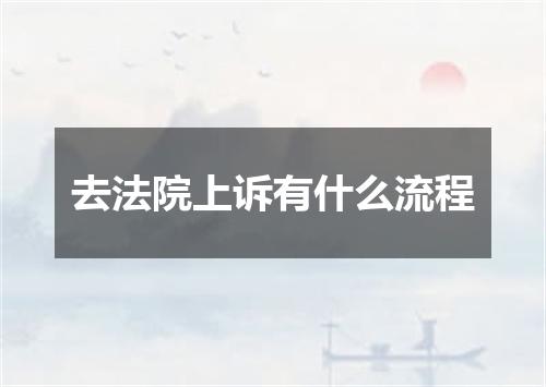 去法院上诉有什么流程