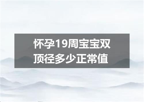 怀孕19周宝宝双顶径多少正常值