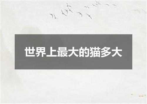 世界上最大的猫多大