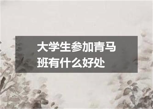 大学生参加青马班有什么好处