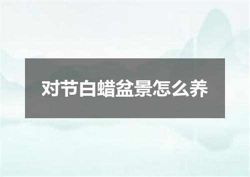 对节白蜡盆景怎么养