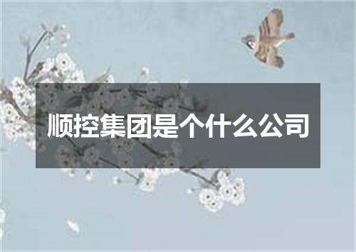 顺控集团是个什么公司