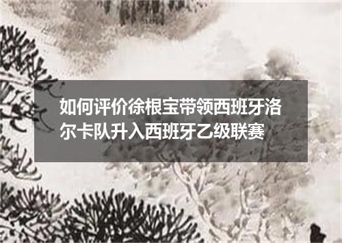 如何评价徐根宝带领西班牙洛尔卡队升入西班牙乙级联赛