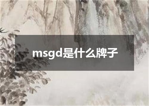 msgd是什么牌子