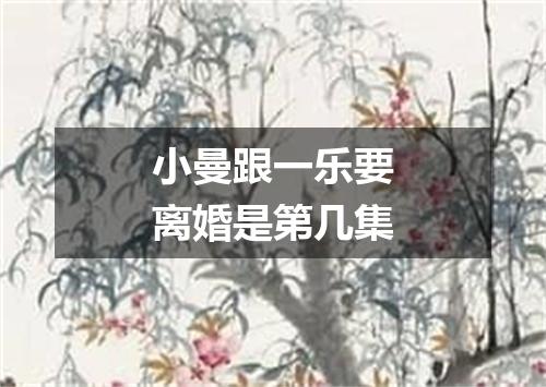 小曼跟一乐要离婚是第几集
