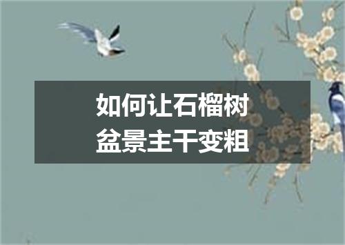 如何让石榴树盆景主干变粗