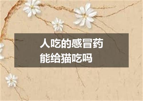 人吃的感冒药能给猫吃吗