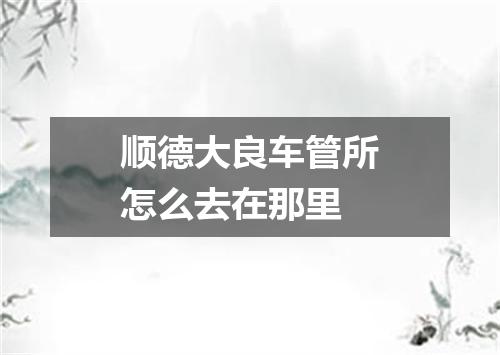 顺德大良车管所怎么去在那里