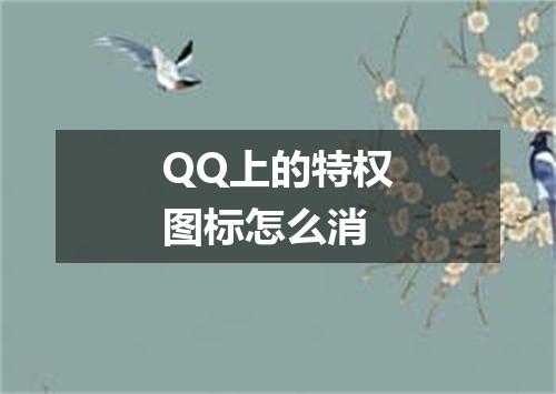 QQ上的特权图标怎么消
