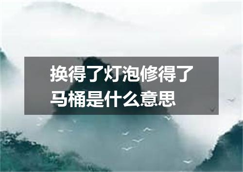 换得了灯泡修得了马桶是什么意思