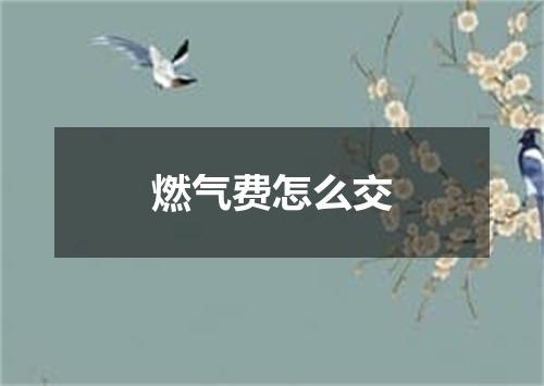 燃气费怎么交