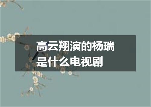 高云翔演的杨瑞是什么电视剧