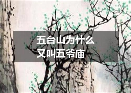 五台山为什么又叫五爷庙