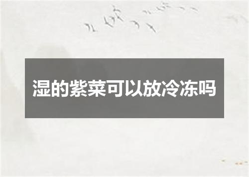 湿的紫菜可以放冷冻吗