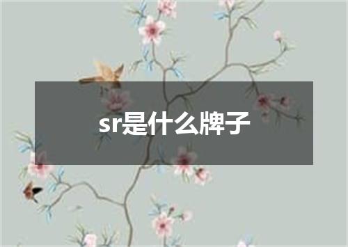 sr是什么牌子