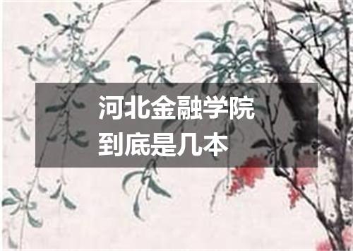河北金融学院到底是几本