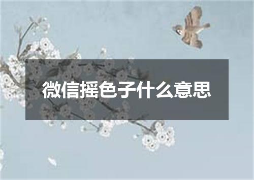 微信摇色子什么意思