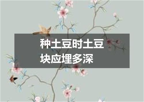 种土豆时土豆块应埋多深