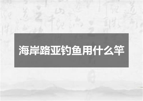海岸路亚钓鱼用什么竿