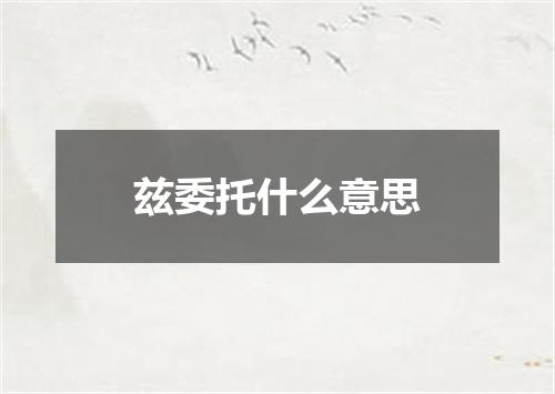 兹委托什么意思