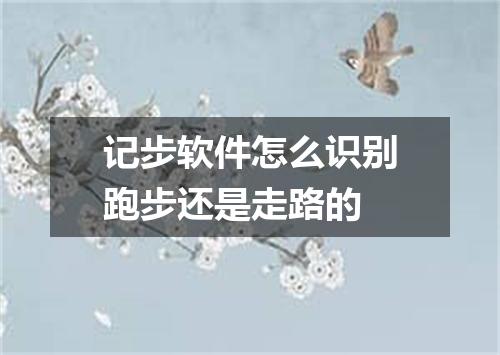 记步软件怎么识别跑步还是走路的