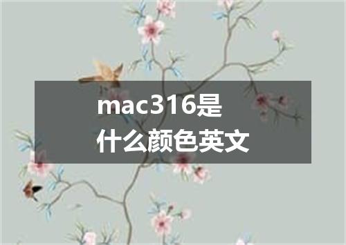 mac316是什么颜色英文