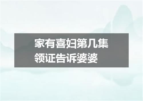 家有喜妇第几集领证告诉婆婆