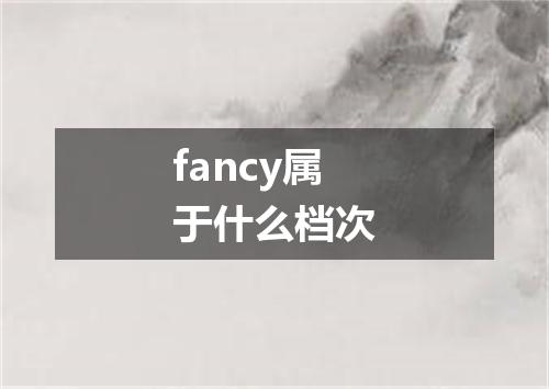 fancy属于什么档次