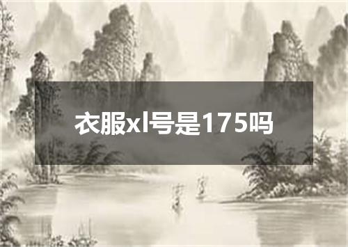 衣服xl号是175吗
