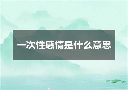 一次性感情是什么意思