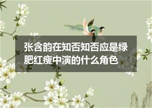 张含韵在知否知否应是绿肥红瘦中演的什么角色