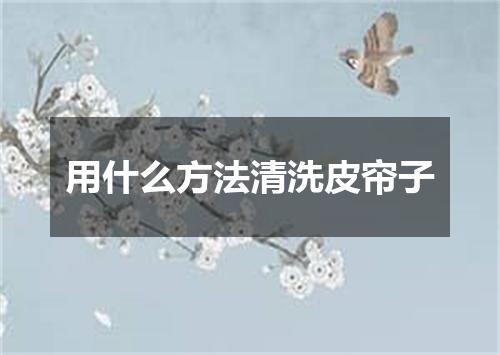 用什么方法清洗皮帘子