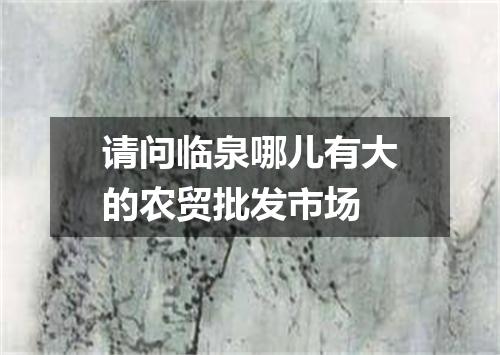 请问临泉哪儿有大的农贸批发市场