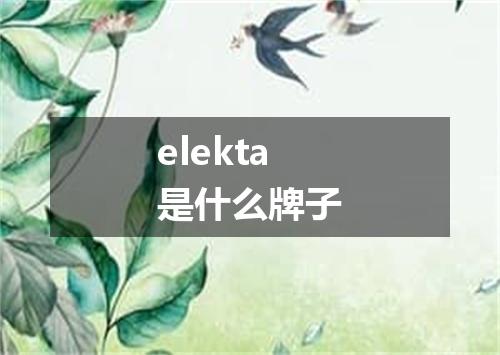 elekta是什么牌子