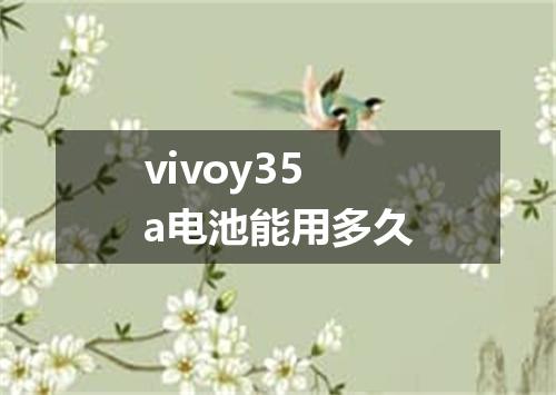 vivoy35a电池能用多久
