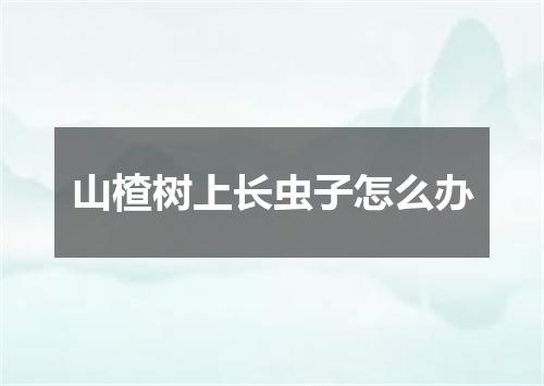 山楂树上长虫子怎么办