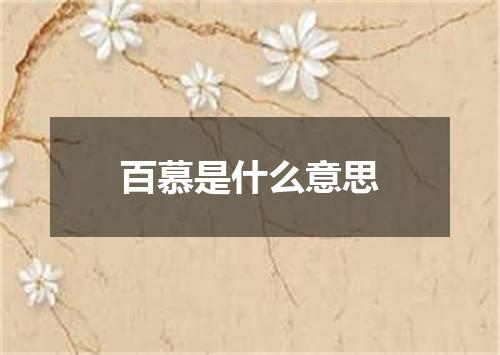 百慕是什么意思