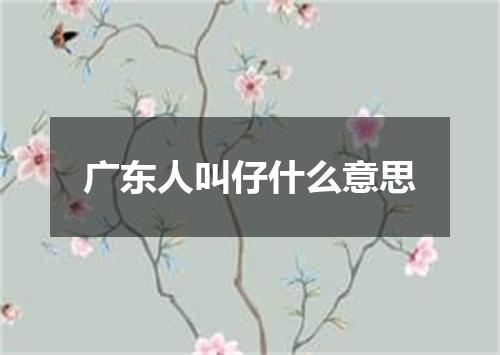 广东人叫仔什么意思