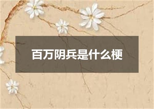 百万阴兵是什么梗