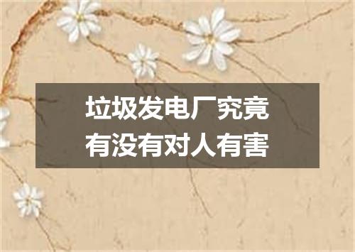 垃圾发电厂究竟有没有对人有害