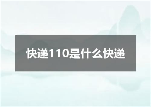 快递110是什么快递