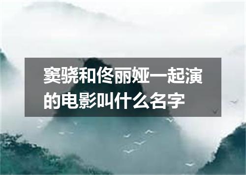 窦骁和佟丽娅一起演的电影叫什么名字