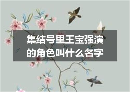 集结号里王宝强演的角色叫什么名字