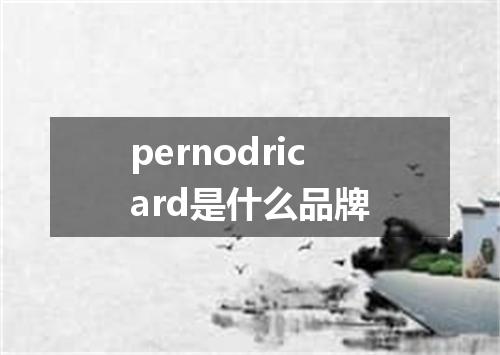 pernodricard是什么品牌