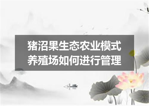 猪沼果生态农业模式养殖场如何进行管理