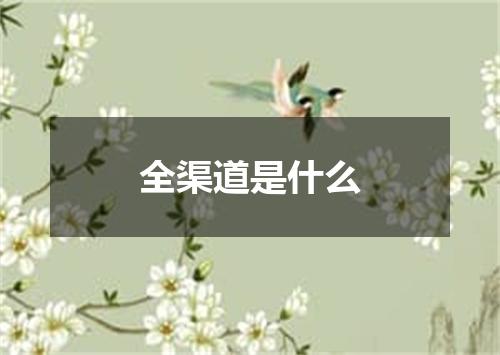 全渠道是什么